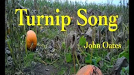 Turnip Song
