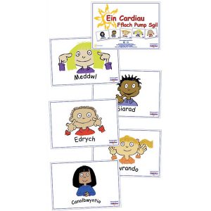 The Five Skills Flash Cards