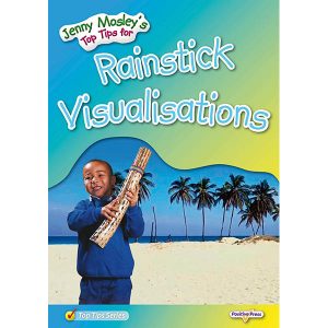 Rainstick Visualisations