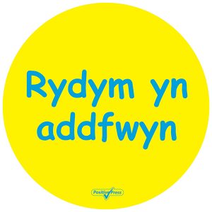 Welsh Playground Circles