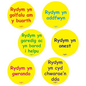 Welsh Playground Circles