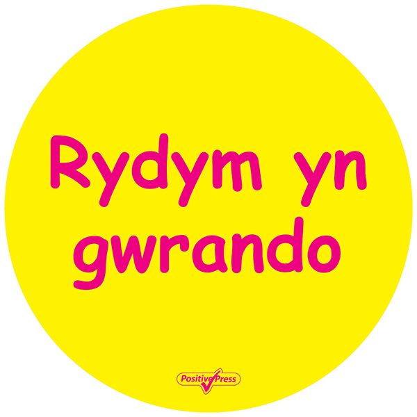 Welsh Playground Circles