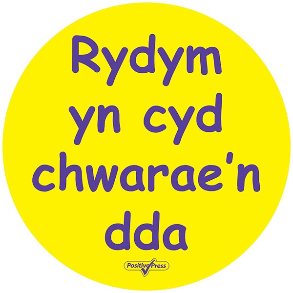 Welsh Playground Circles