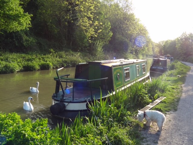 Canal boat hire near Bath